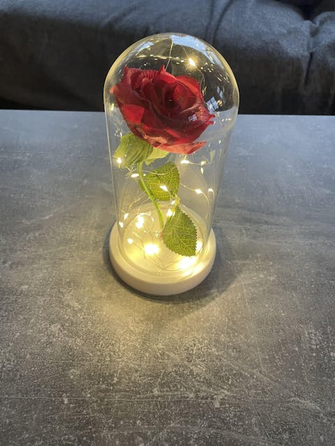 Rose Éternelle Sous Cloche