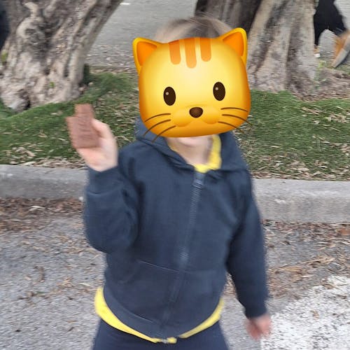 Animaux de la Forêt