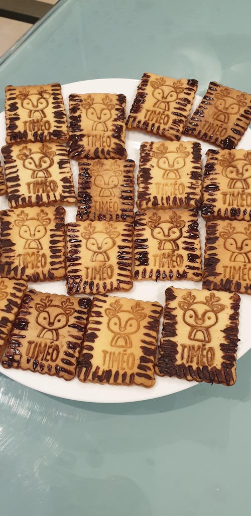 Animaux de la Forêt