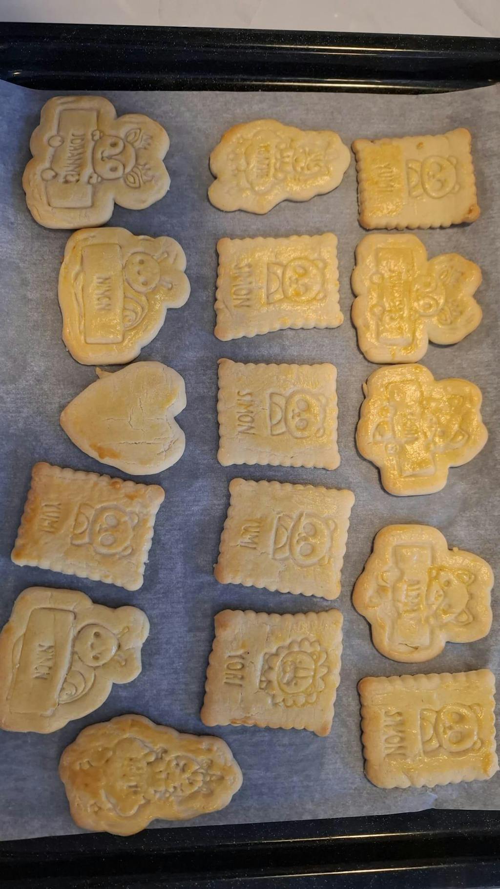 Animaux de la Jungle