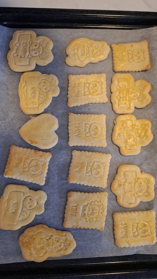 Animaux de la Jungle