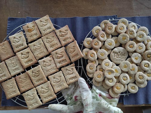 Animaux domestiques personnalisés