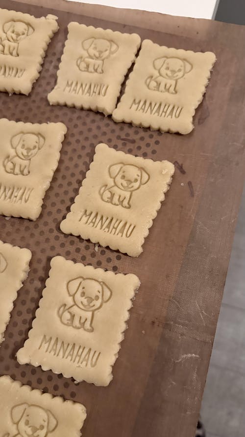 Animaux domestiques personnalisés