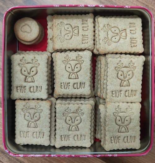 Les Animaux de la Forêt