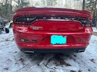 Random Chimp Event Bumper Sticker