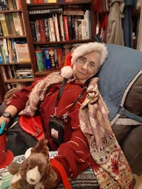 Personalized 3D Cutout Photo Pillow  | Turn Any Picture Into a Pillow