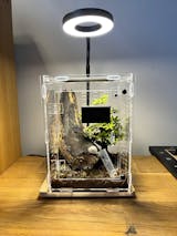 Kit élevage | Araignée