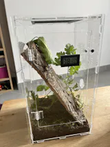 Kit décoration terrarium | Mousse, Tourbe de coco et bois