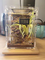 Kit décoration terrarium | Mousse, Tourbe de coco et bois