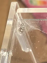 Kit élevage | Araignée