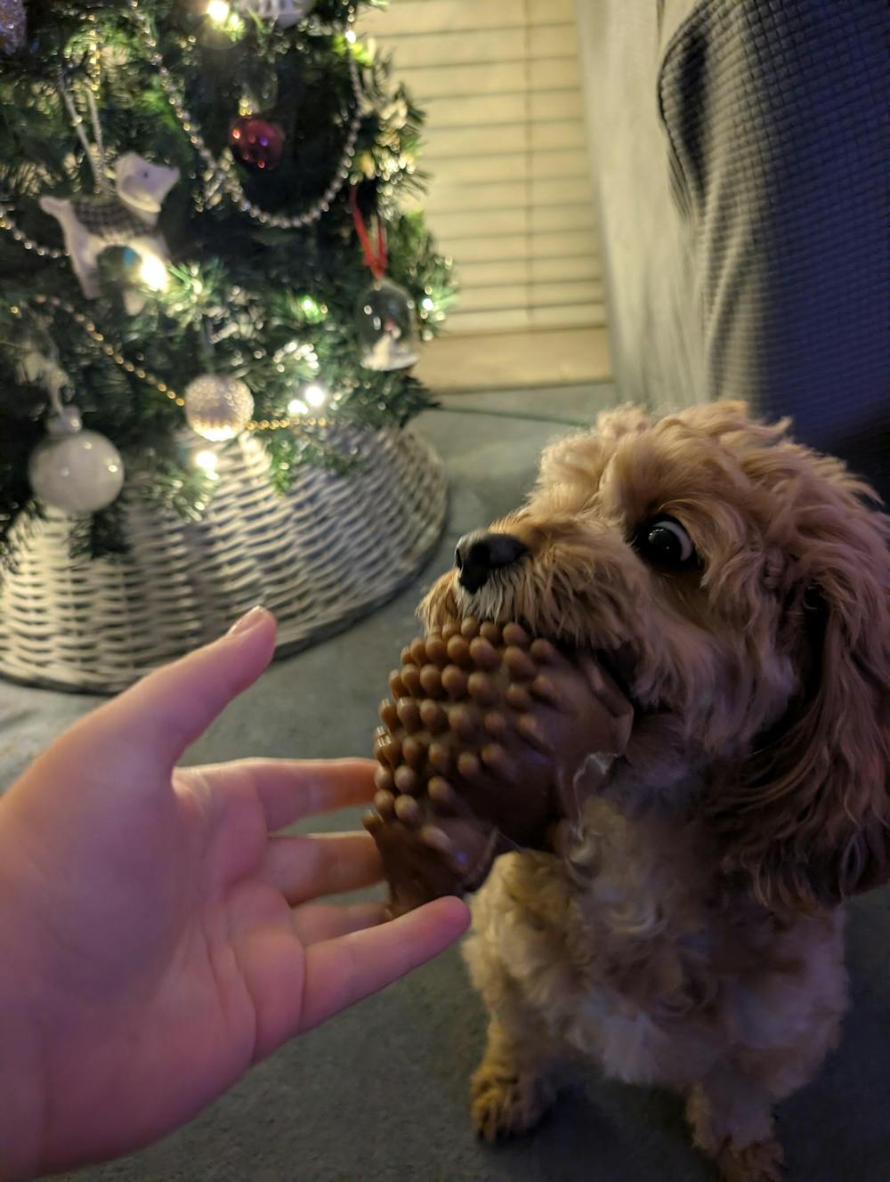 Large Hedgehog | Veggie