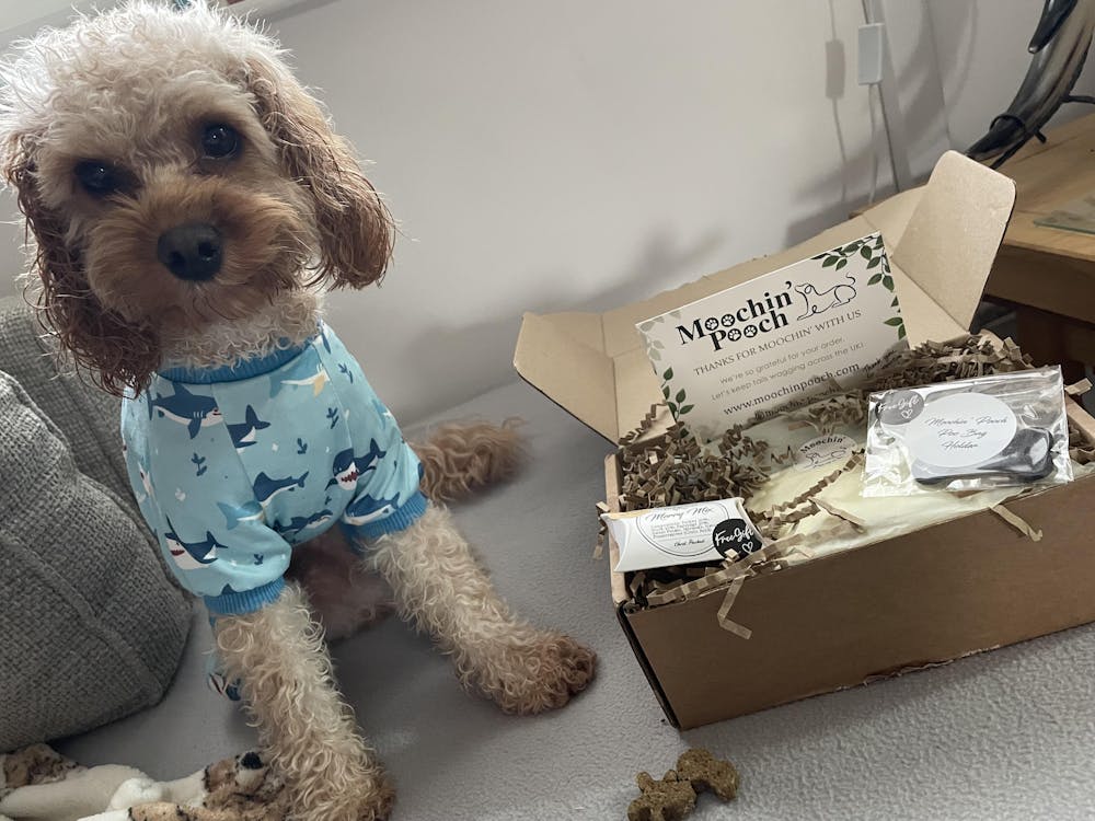 Horse & Beef Collagen Rings (50g)