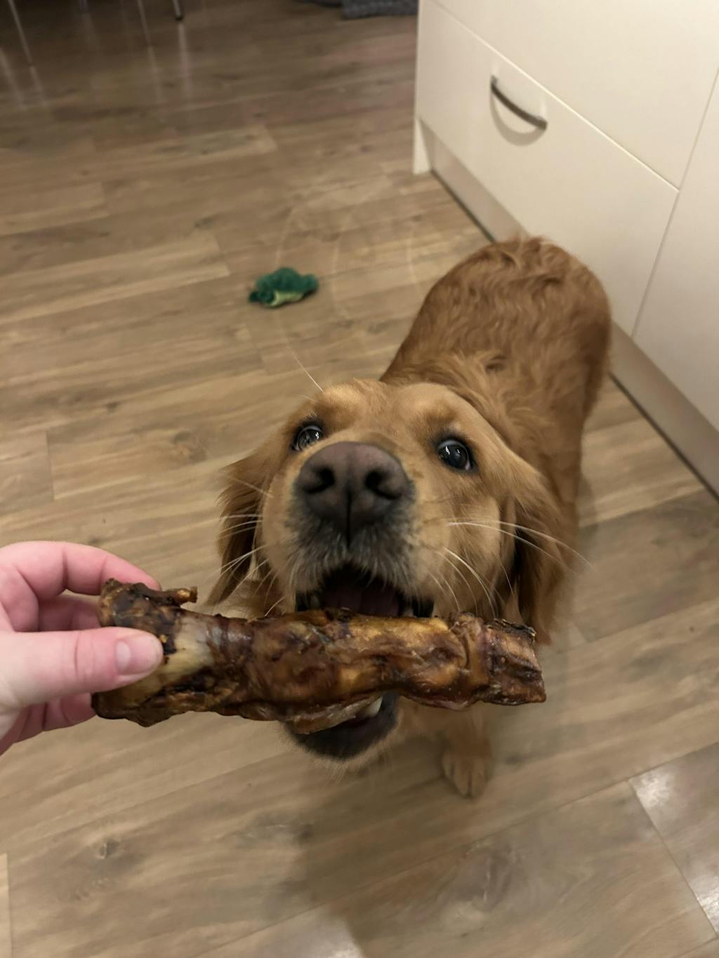 Duck Fillet Strips (50g)