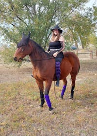 Womens Striped Thigh High Socks Extra Long Cotton Knit-Black & Purple