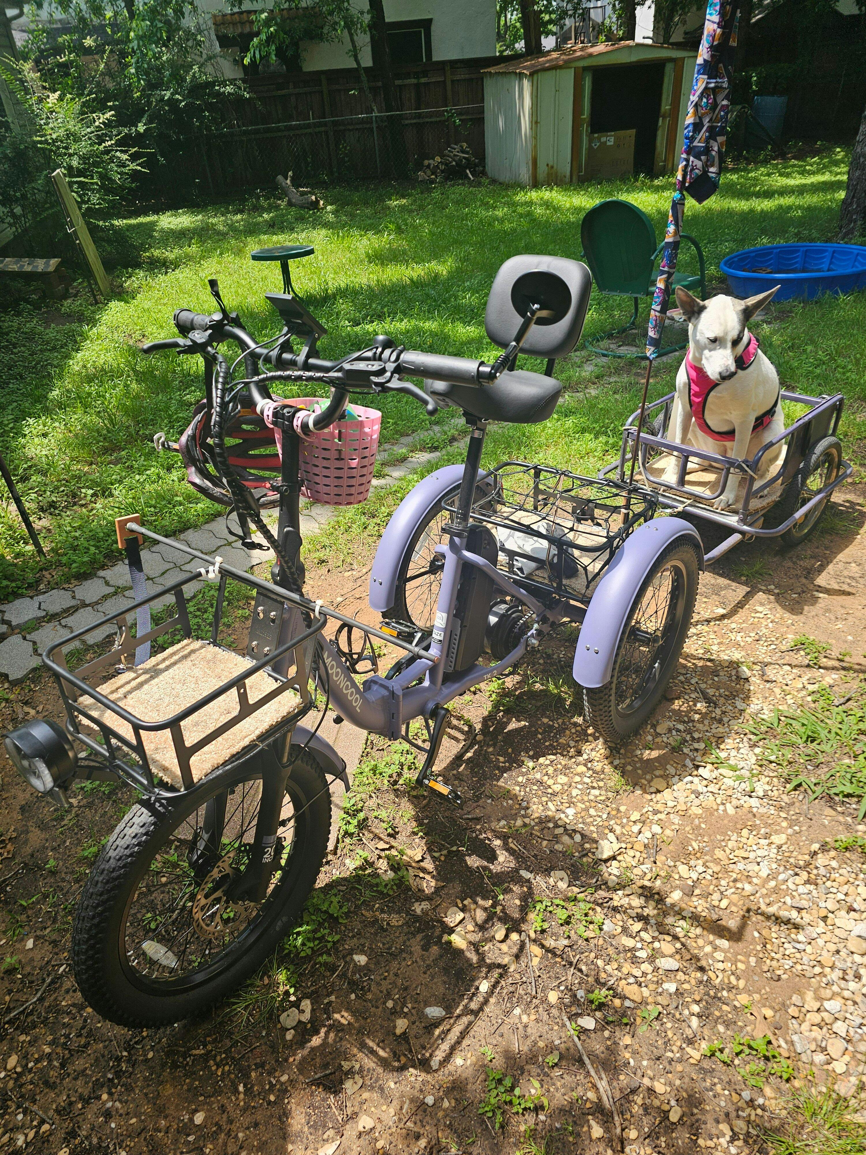 Safe & Sustainable TK2 Electric Trike | Comfortable, Stable