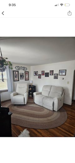 Apollo Power Reclining Loveseat With Adjustable Headrest