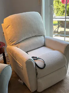 Jean Bronze Power Lift Recliner (Up To 300 Lbs.)