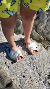 Grey Kob| Fish Flip Flop Slops/ Slippers