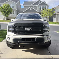 Review picture