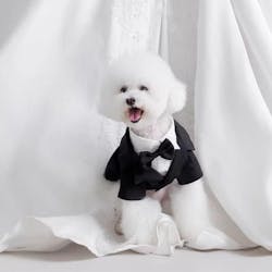Customizable Pet Tuxedo Suit - Stylish Formal Wear