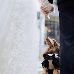 Customizable Pet Tuxedo Suit - Stylish Formal Wear