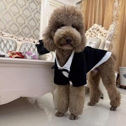 Customizable Pet Tuxedo Suit - Stylish Formal Wear