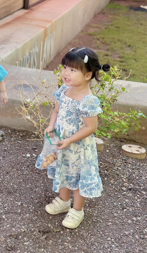 Mini Zoey Smocked Dress