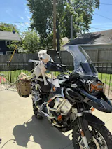 User picture