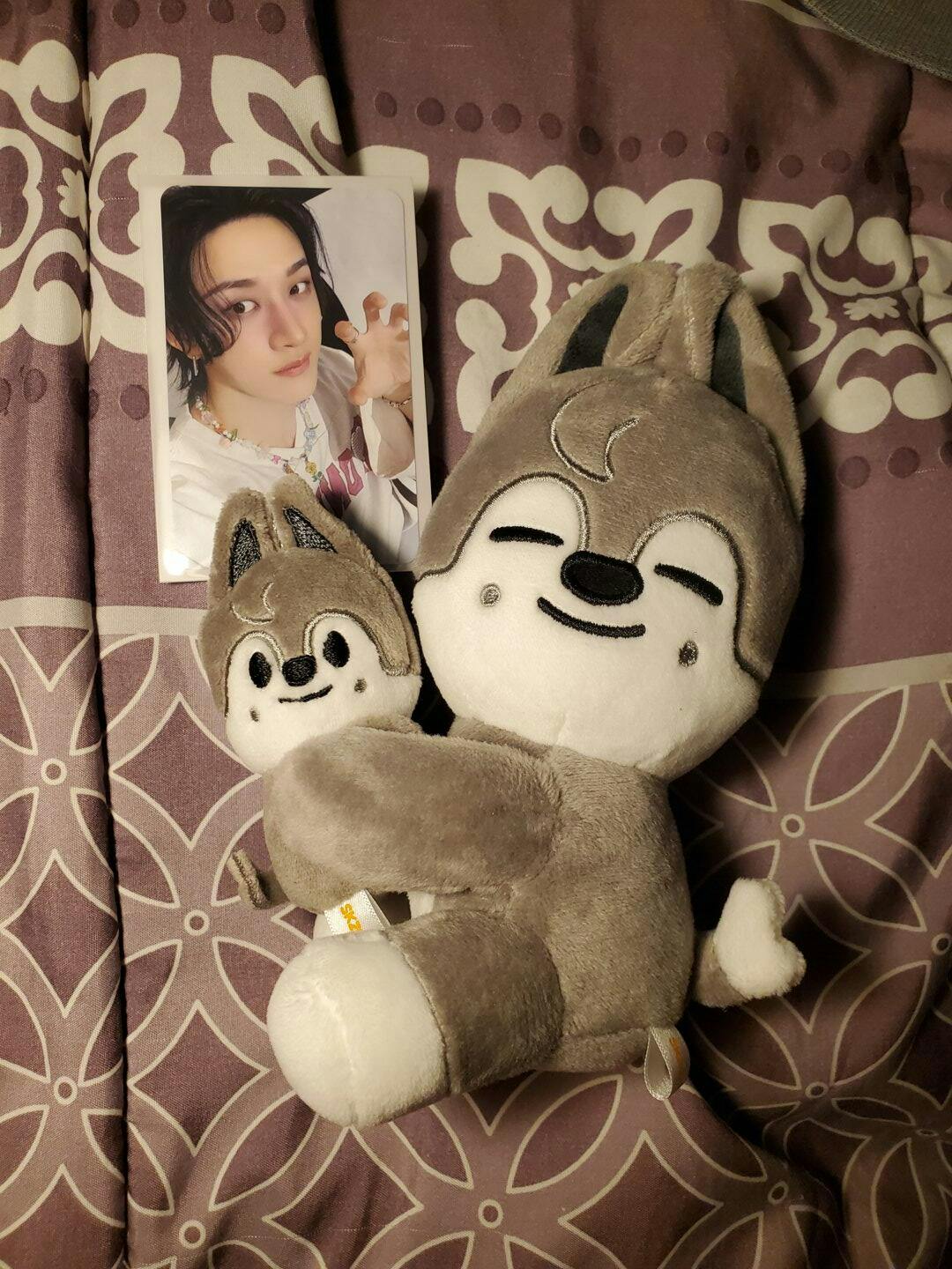 Stray Kids dominATE : celebrATE MD SKZOO MAGNET PLUSH SET