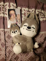 User picture