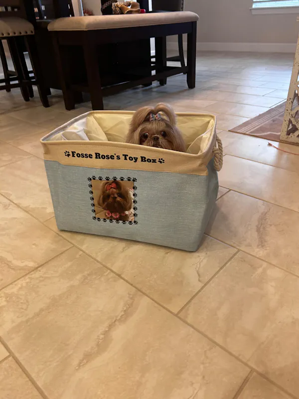 Personalized dog toy box in a real home