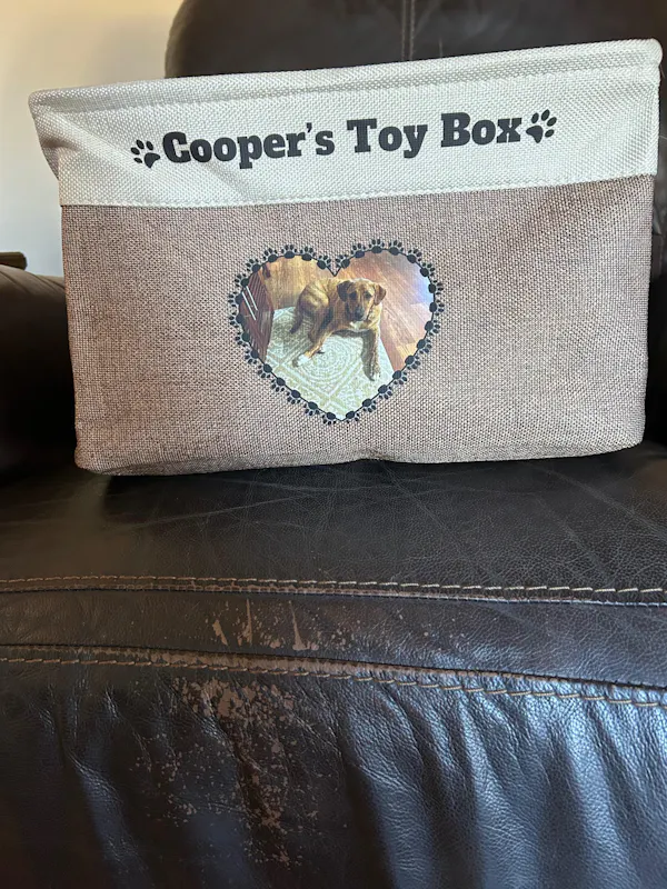 Personalized dog toy box real photo