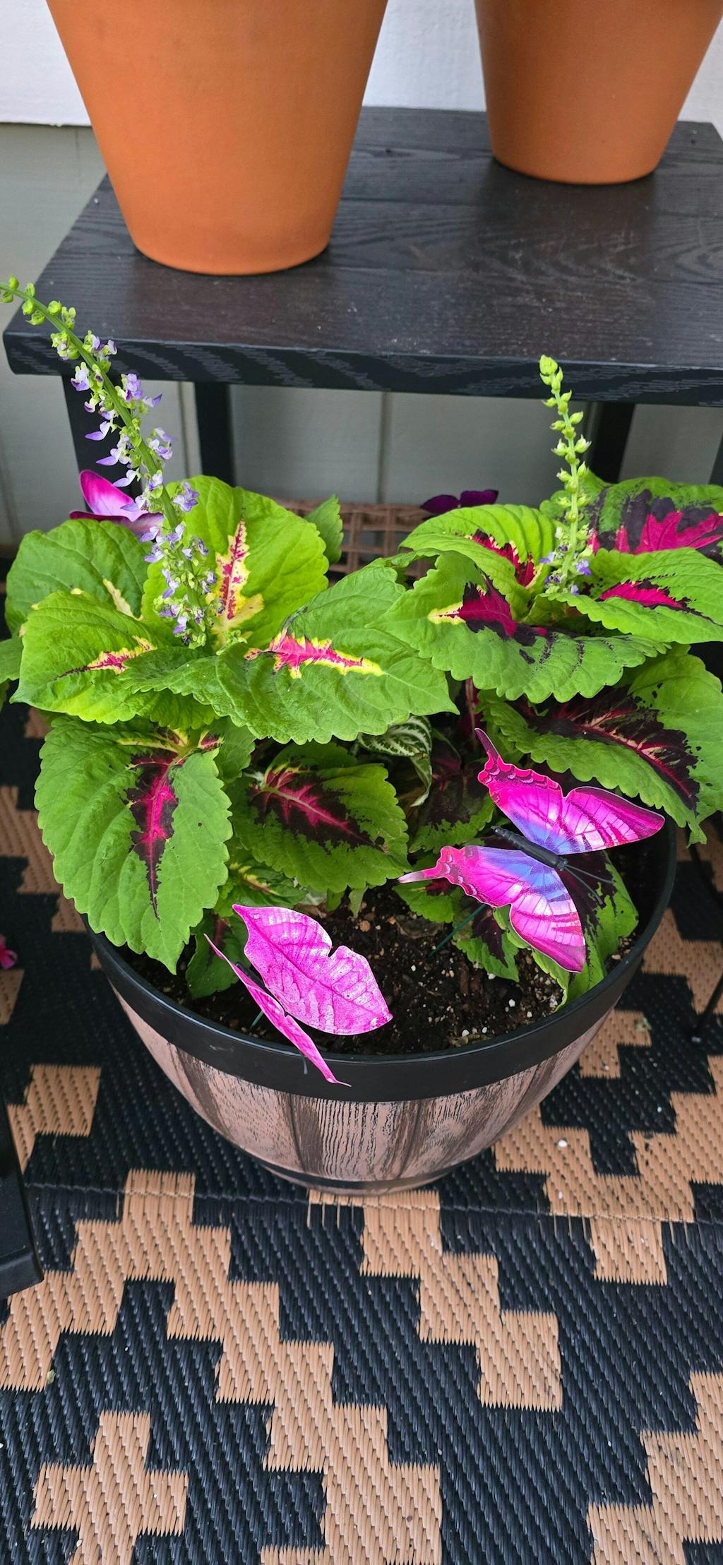 Mother Soil - 3 Quarts