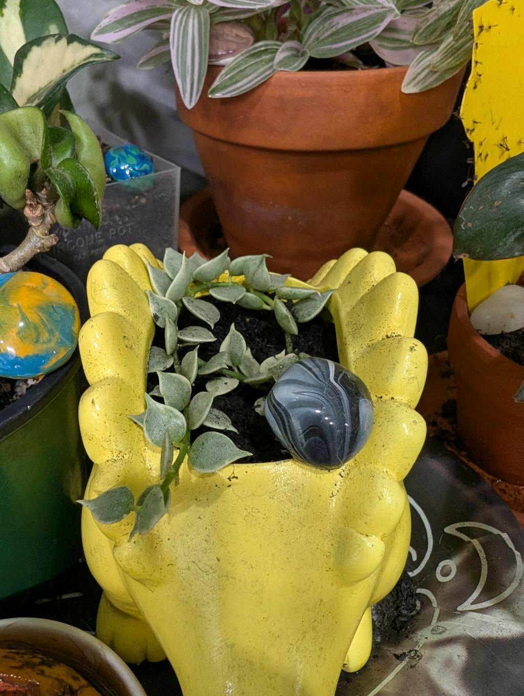 Mother Soil - 3 Quarts