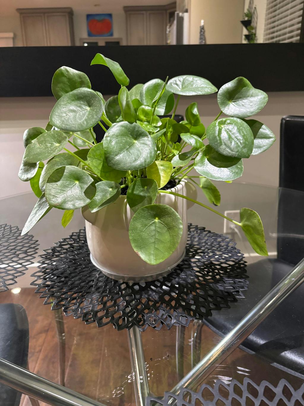 Mother Soil - 3 Quarts