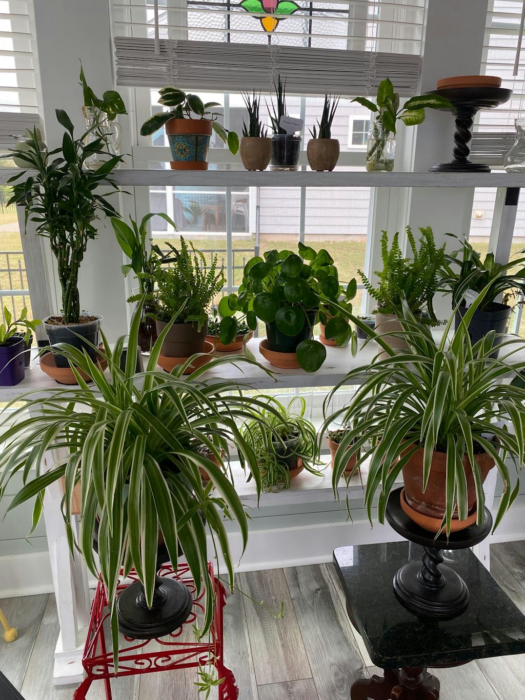 Mother Soil - 3 Quarts