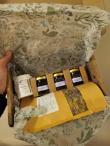User picture