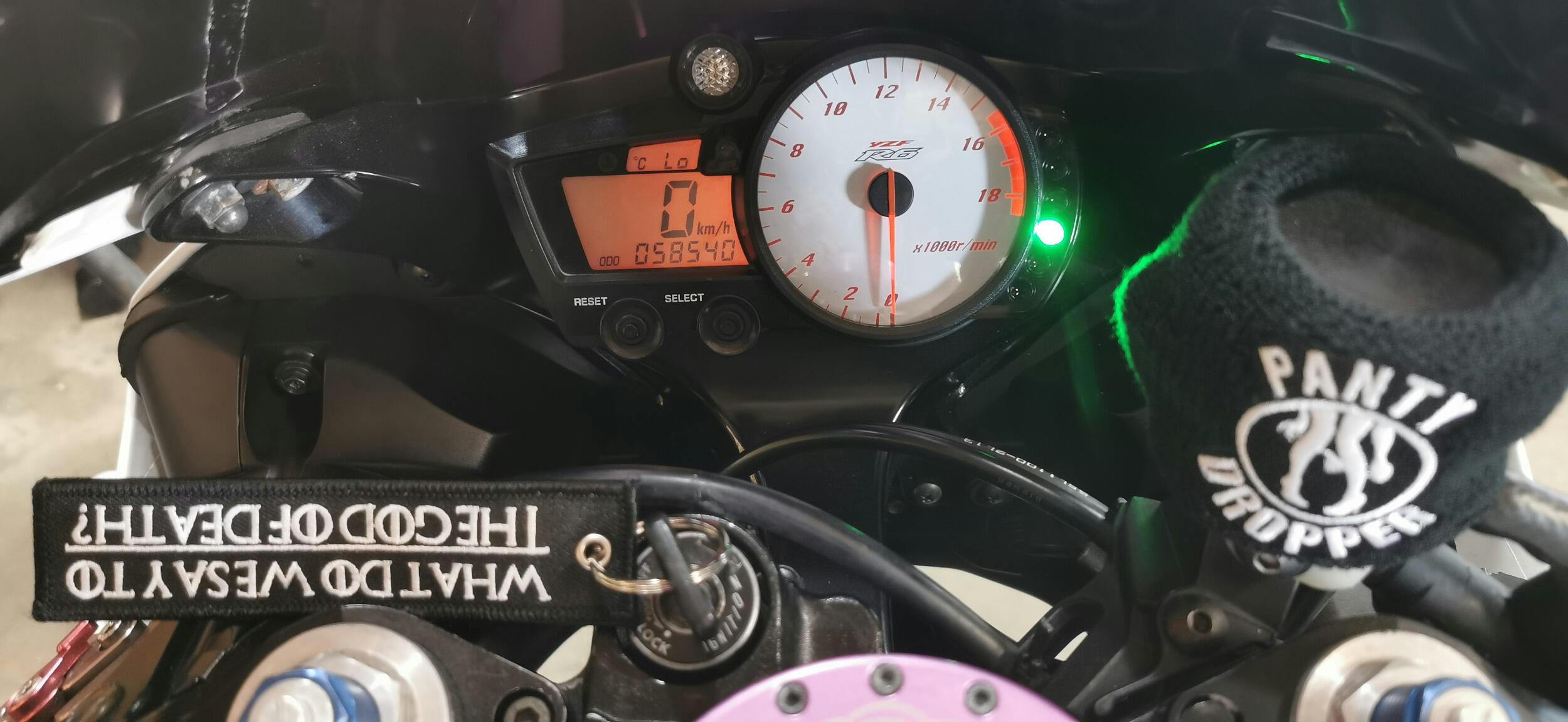 Panty Dropper - Reservoir Cover - Moto Loot