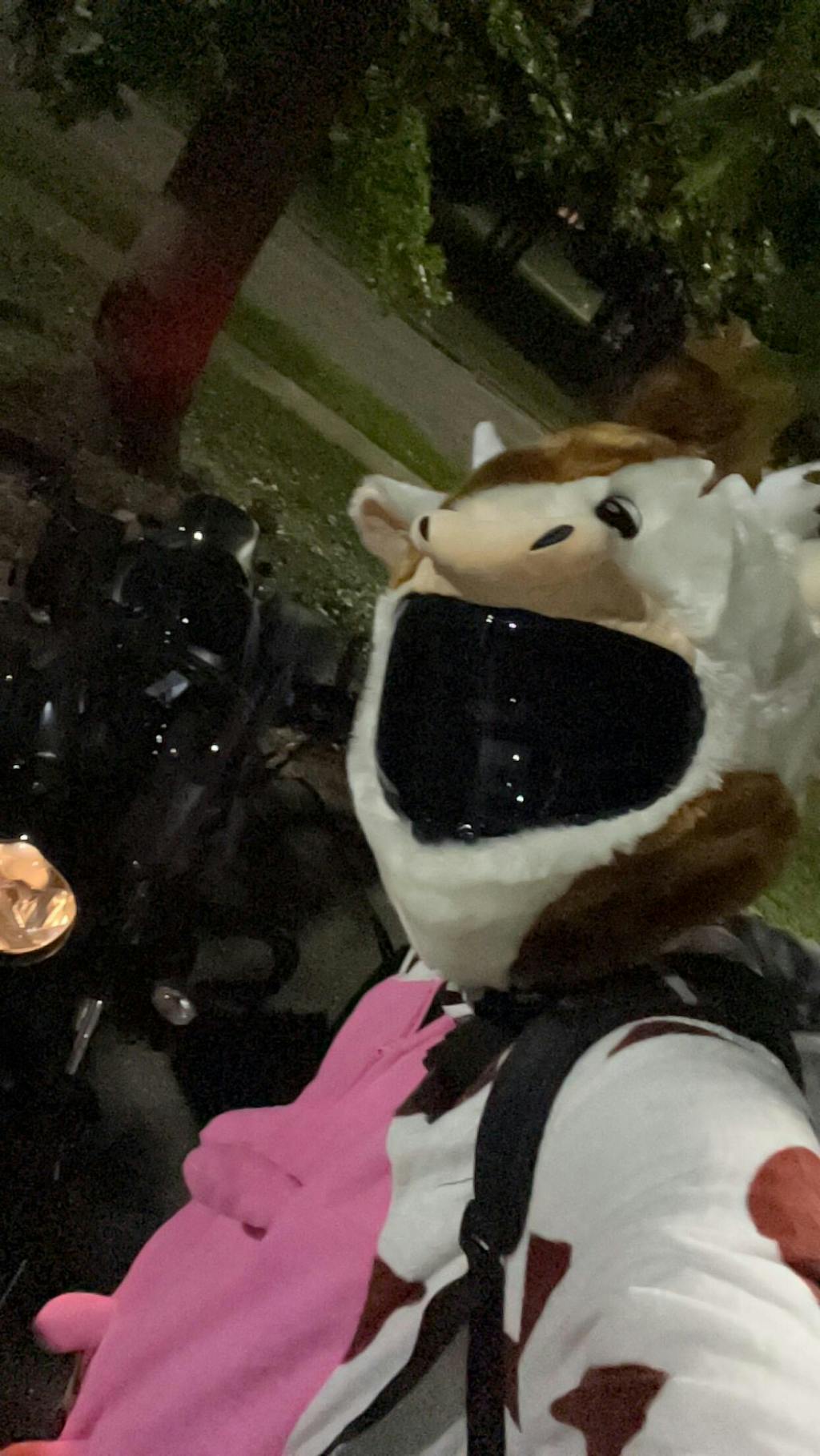 Motorcycle Helmet Cover Cow Moto Loot