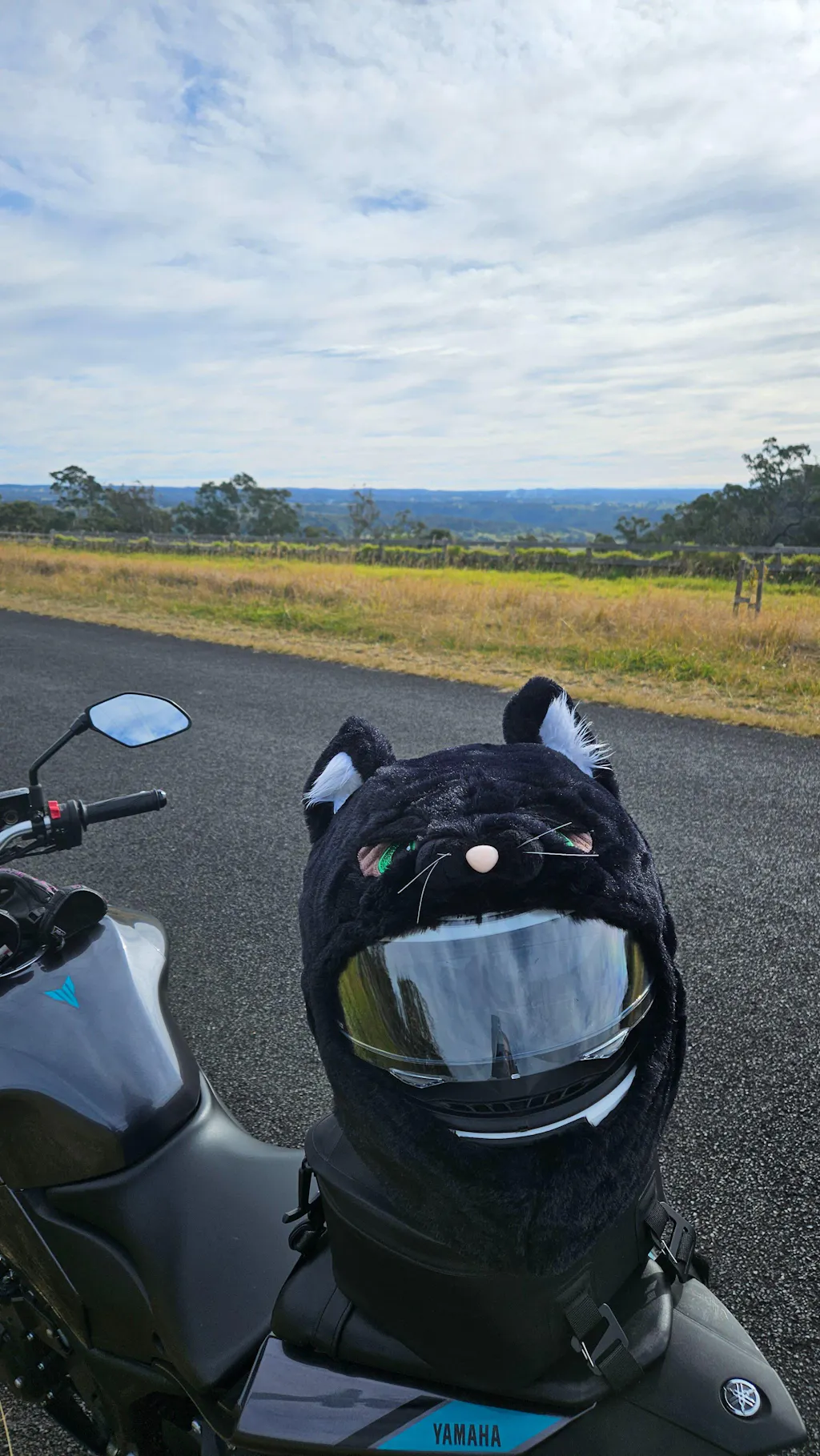 black cat with fangs motorcycle helmet Motorcycle Helmet Cover - Cat