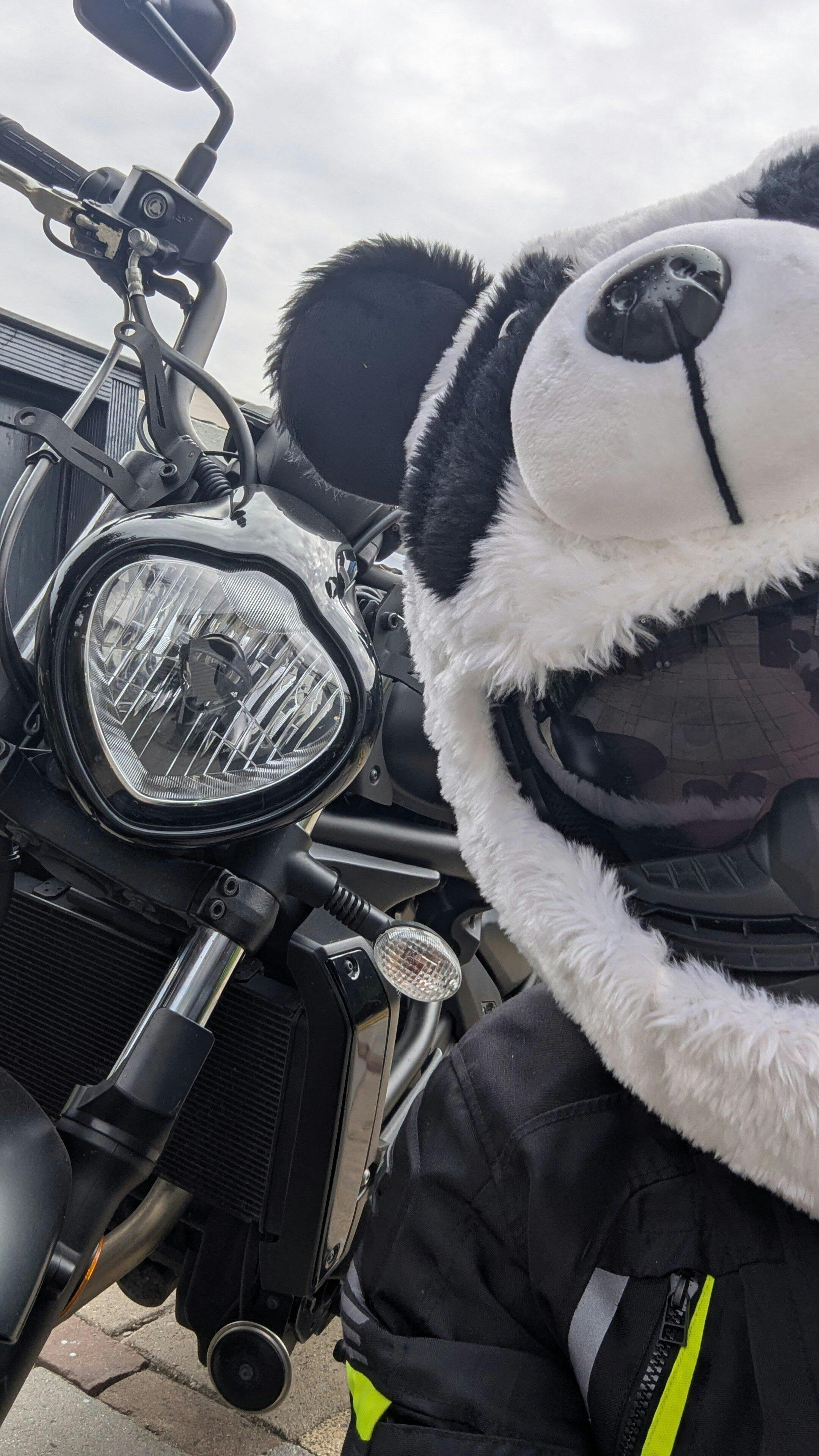 Motorcycle Helmet Cover - Panda - Moto Loot