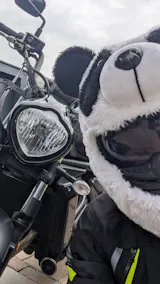 User picture