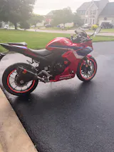 User picture