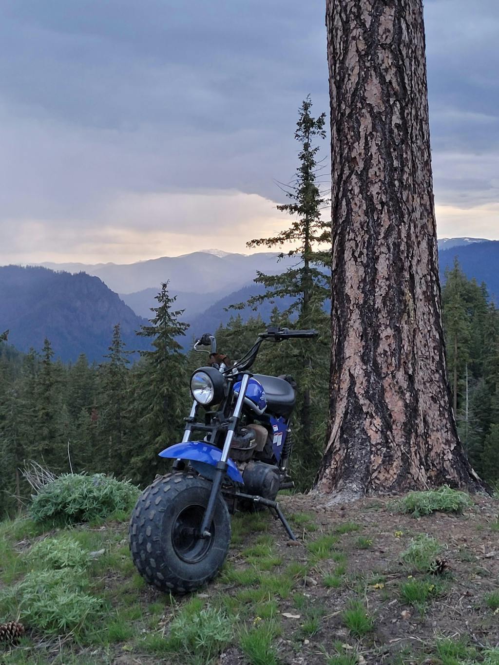 trailmaster mb200 craigslist