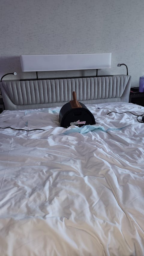 Motorbunny