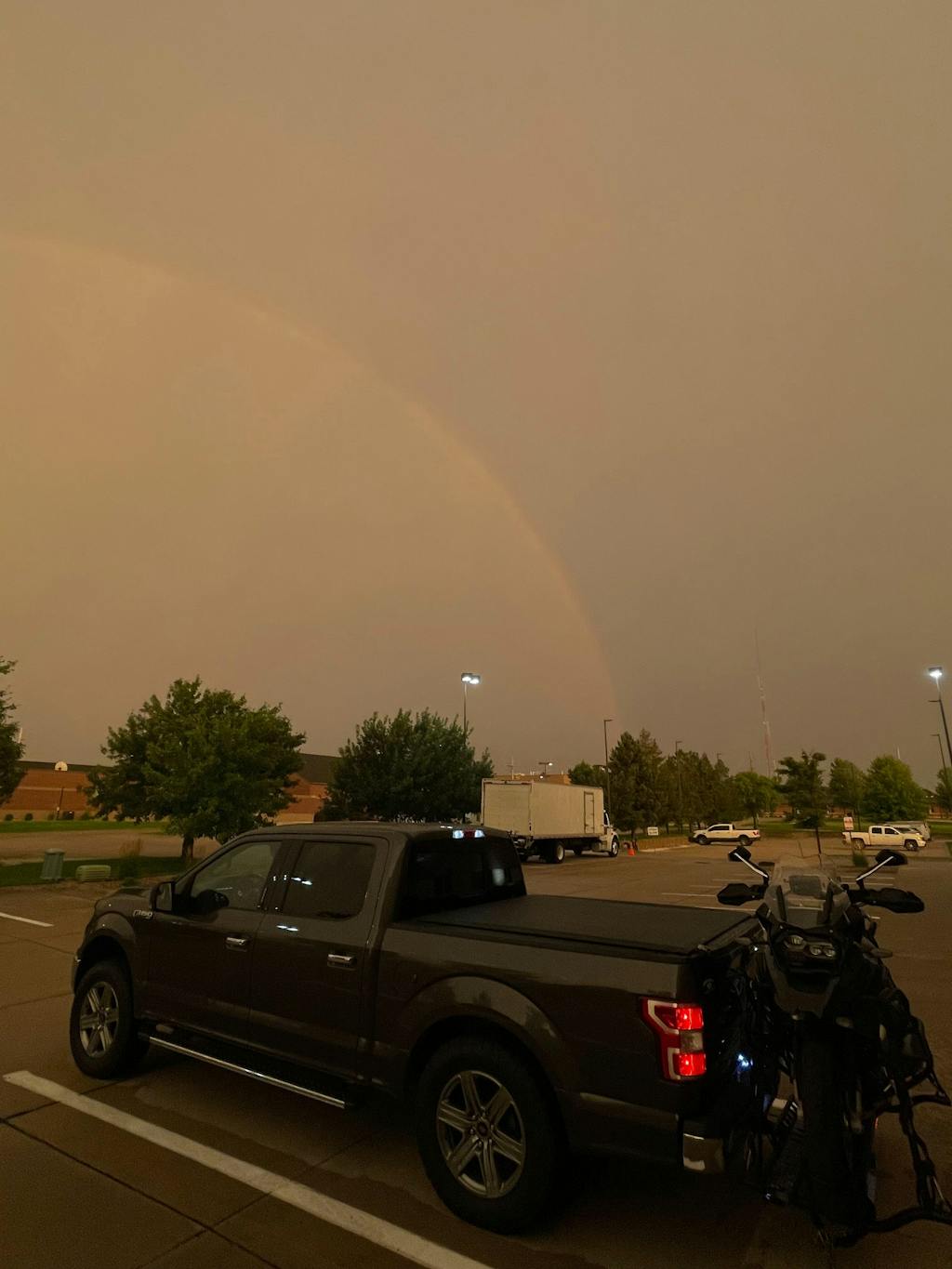 SafeLoop Cam Buckle Tie Downs - 4 Pack