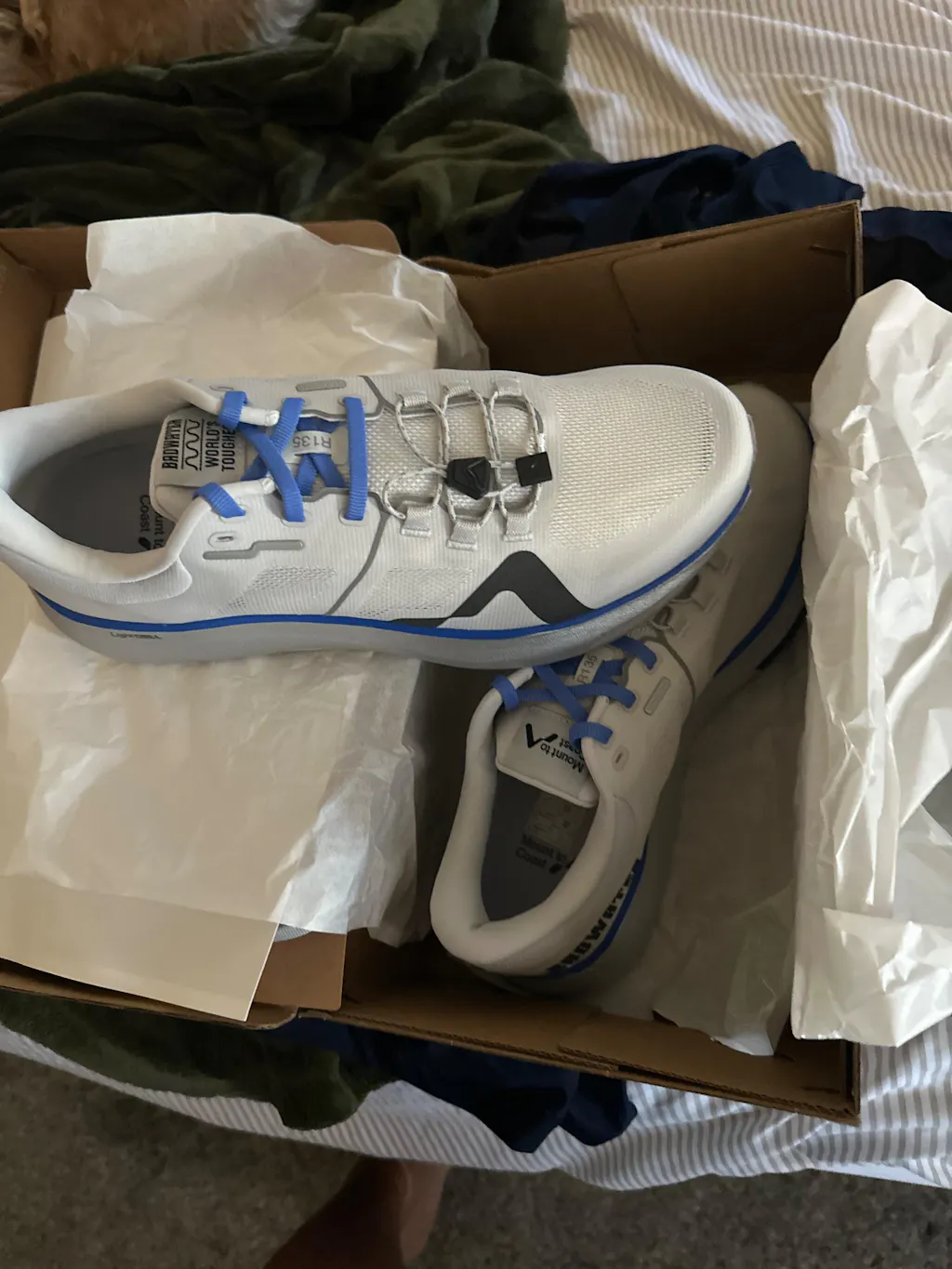 Badwater® 135 Running Shoes - Men's | Heat Racing – Mount to Coast