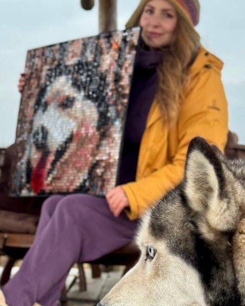 Photo Constructor: Set M (10+)