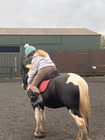 MPL Organic Insulated GREY Hoodie