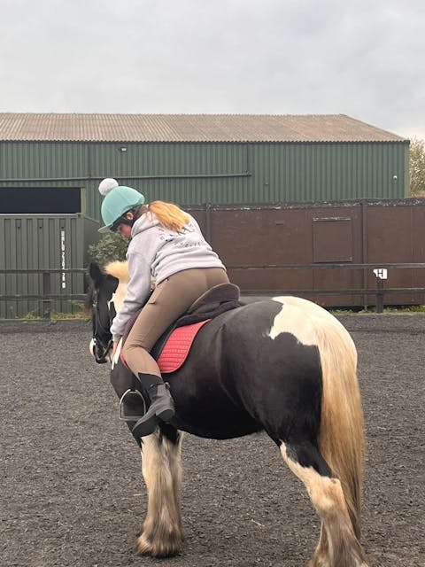 MPL Organic Insulated GREY Hoodie